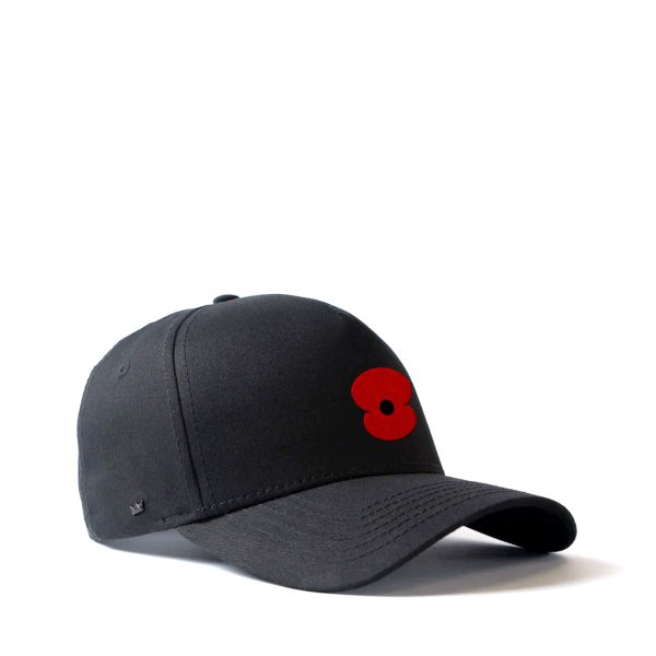 RSA Haig 5 Panel Cap Black